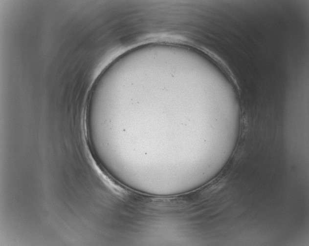 X0000076061391200610201937