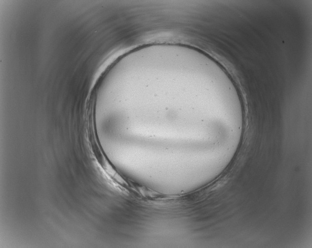 X0000076061392200610201937