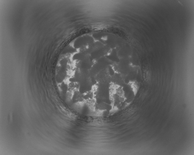 X0000076061393200610201936