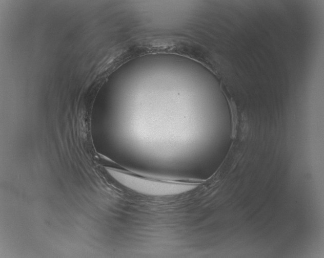 X0000076061394200610201936