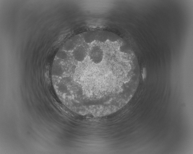 X0000076061396200610201936