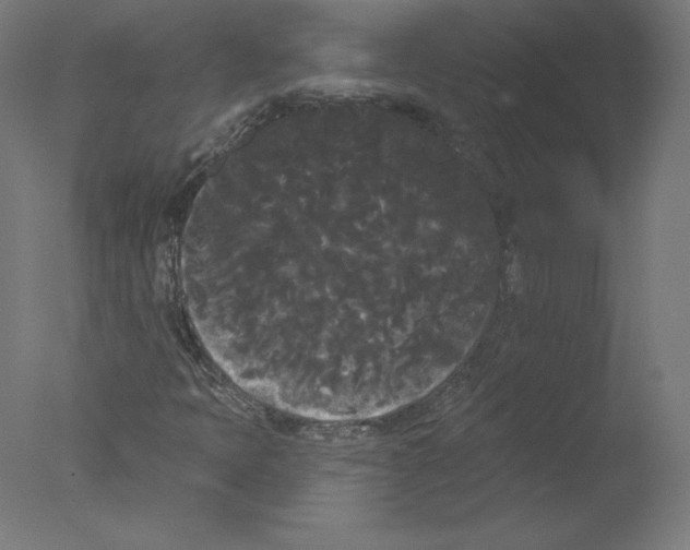 X0000076061397200610201936