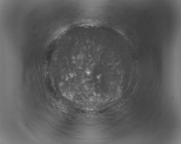 X0000076061399200610201936