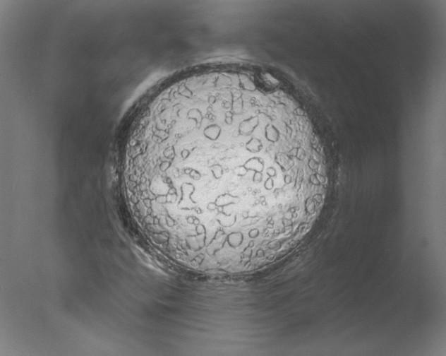 X0000076061400200610201936