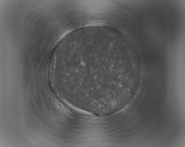 X0000076061401200610201936