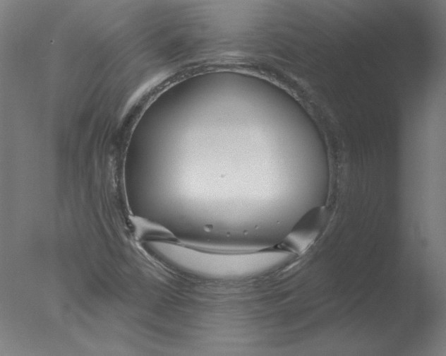 X0000076061402200610201936