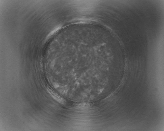 X0000076061403200610201936