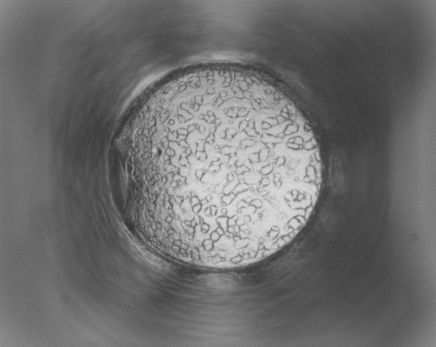 X0000076061404200610201936