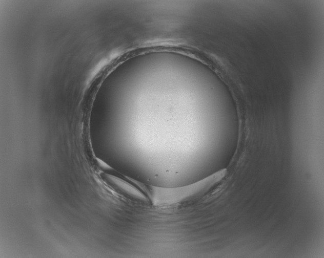 X0000076061406200610201936