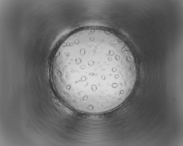 X0000076061408200610201936