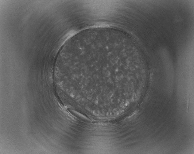 X0000076061409200610201936