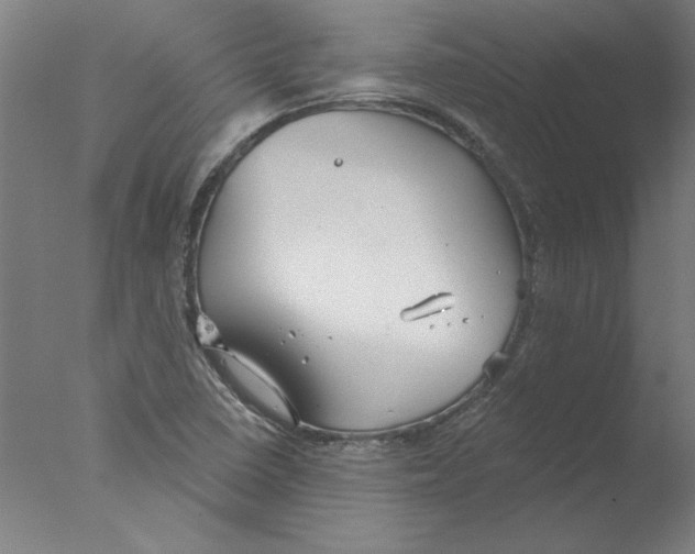 X0000076061410200610201936