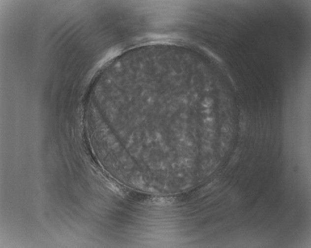 X0000076061411200610201936