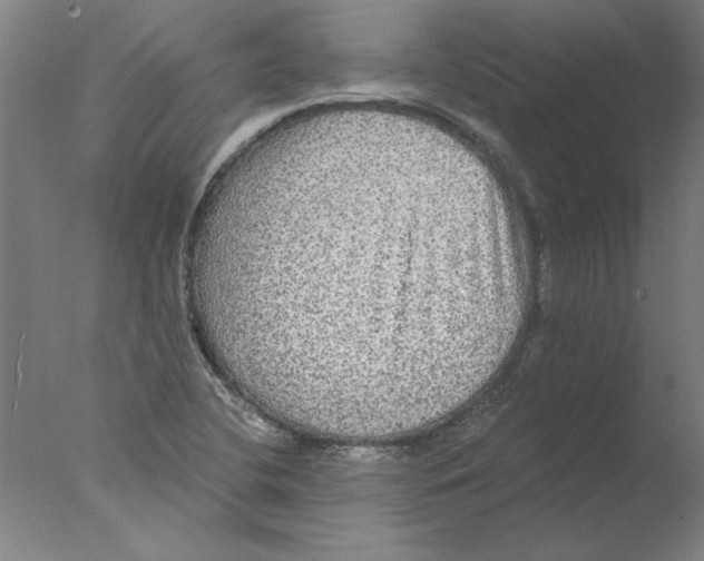 X0000076061412200610201936