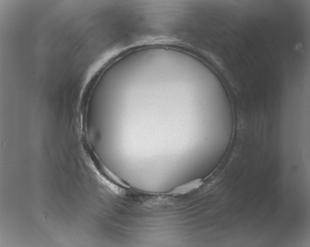 X0000076061414200610201936