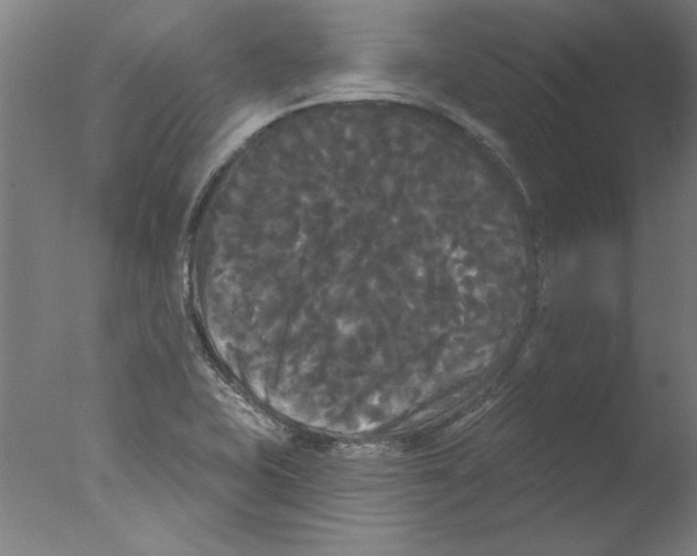 X0000076061415200610201936