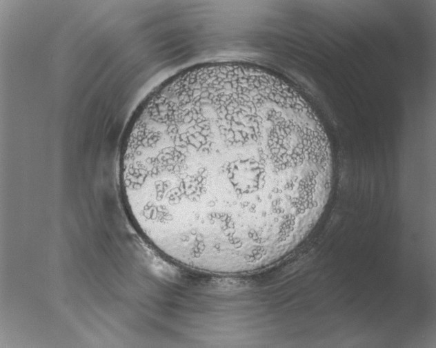 X0000076061420200610201936