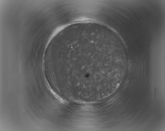 X0000076061421200610201936