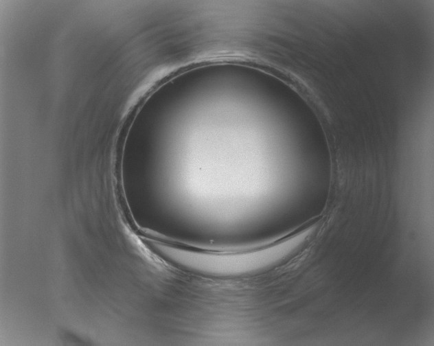 X0000076061422200610201936