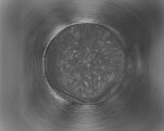 X0000076061423200610201936