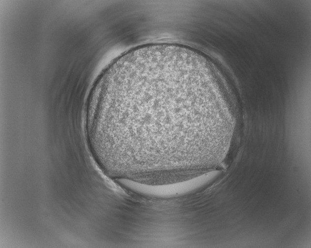 X0000076061424200610201936