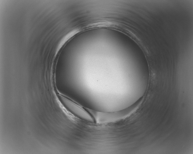 X0000076061426200610201936