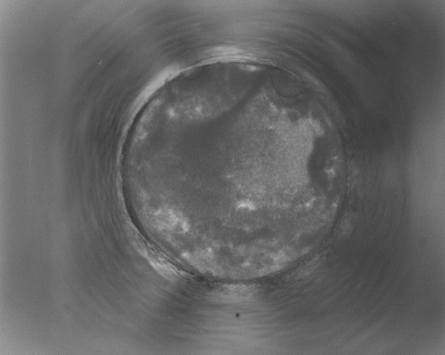 X0000076061427200610201936