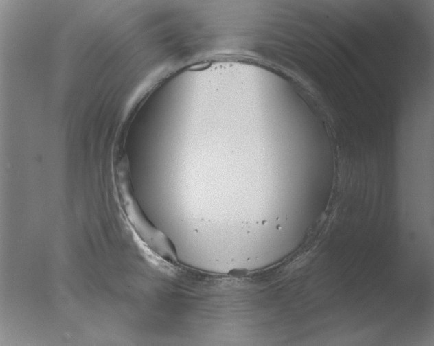 X0000076061430200610201936