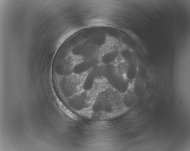 X0000076061431200610201936