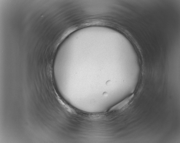 X0000076061433200610201936