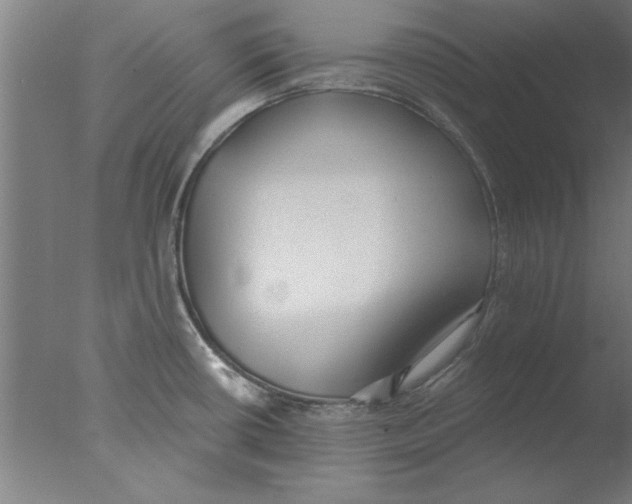 X0000076061434200610201936