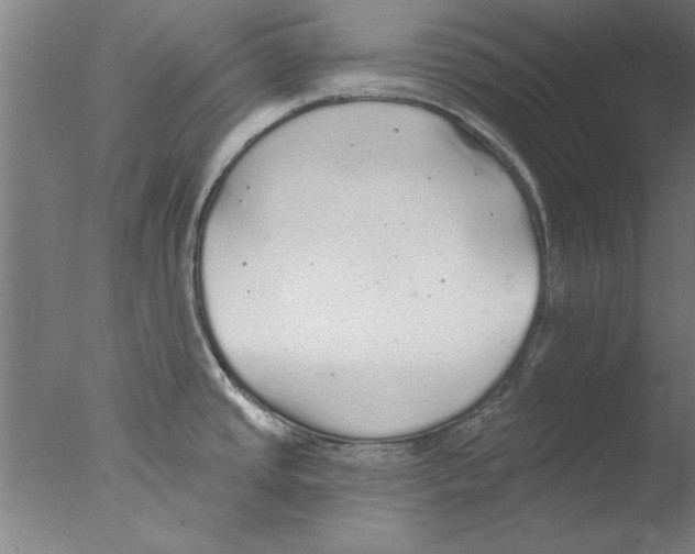 X0000076061437200610201936