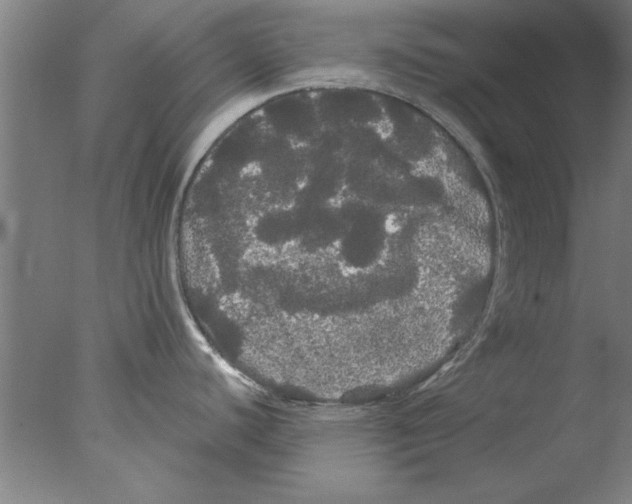 X0000076061440200610201937