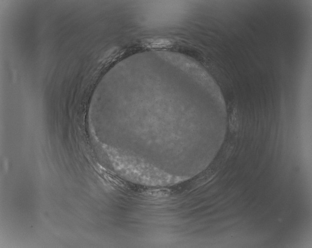 X0000076061441200610201936