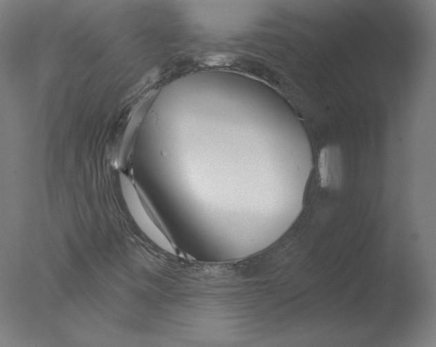 X0000076061443200610201936