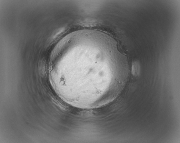 X0000076061444200610201936