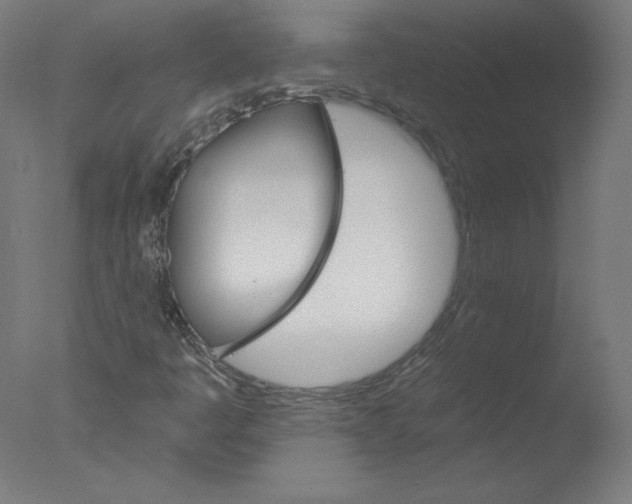 X0000076061445200610201936