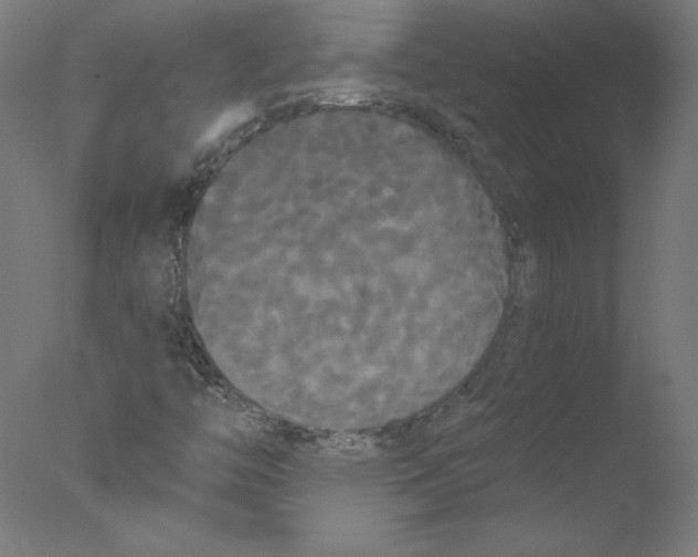 X0000076061446200610201936