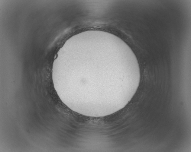 X0000076061447200610201936