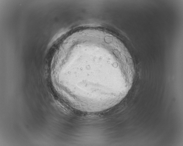 X0000076061448200610201936