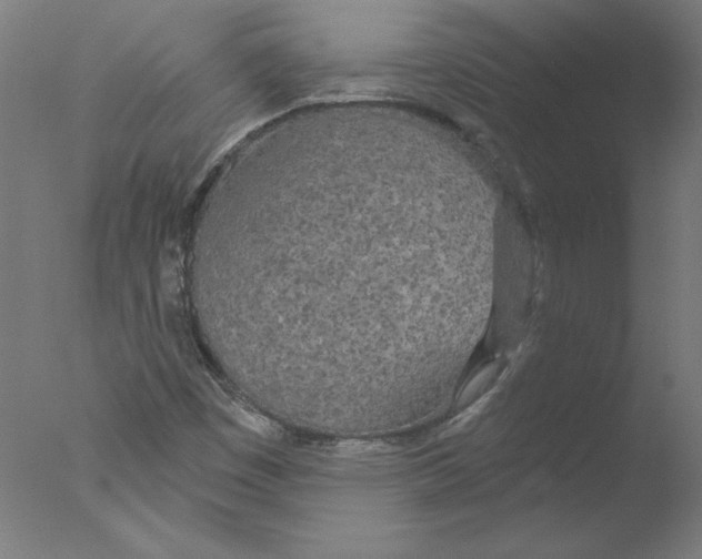 X0000076061449200610201936