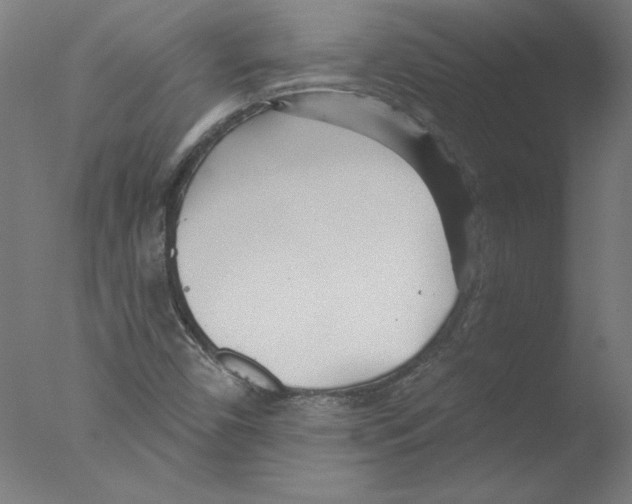 X0000076061450200610201936