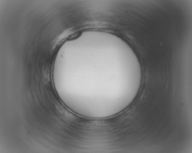 X0000076061451200610201936