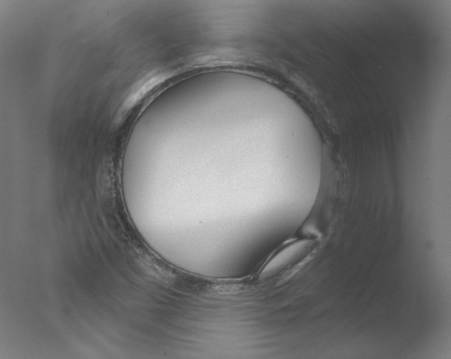 X0000076061453200610201936