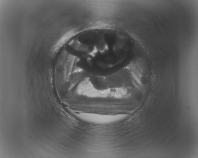 X0000076061455200610201935