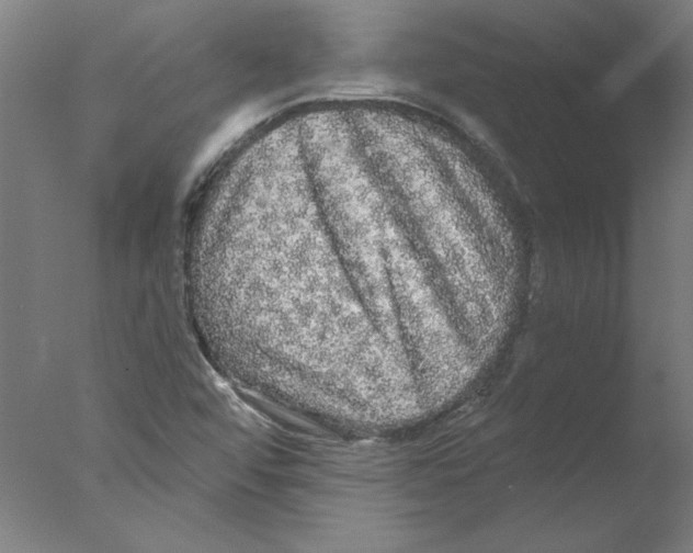 X0000076061456200610201935