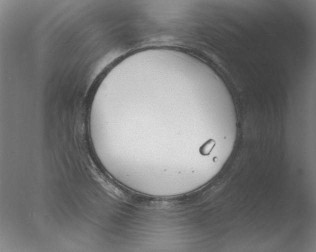 X0000076061458200610201935