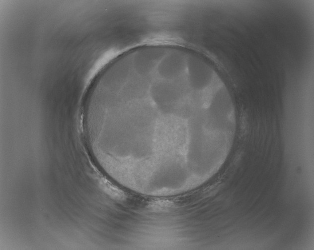 X0000076061462200610201935