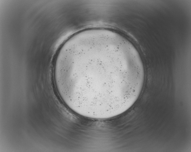 X0000076061463200610201935