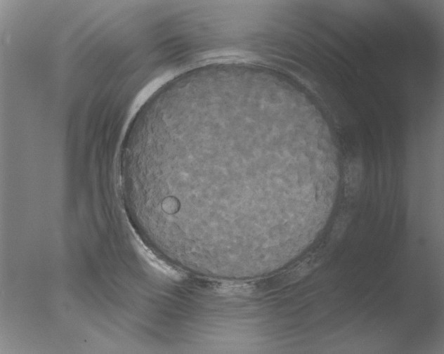 X0000076061466200610201935